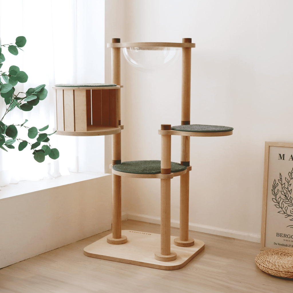 小屋貓塔